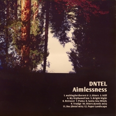 dntel-aimlessness